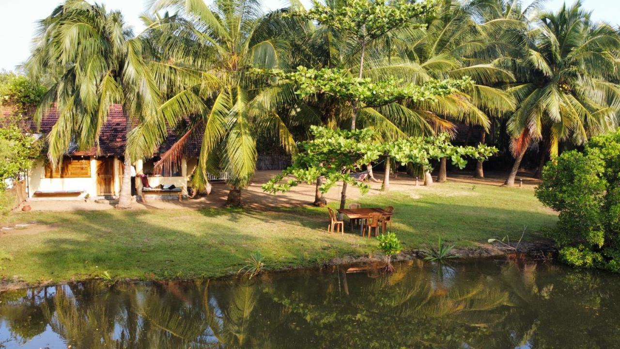 Kite House Cafe Bed and Breakfast Kalpitiya Exterior foto