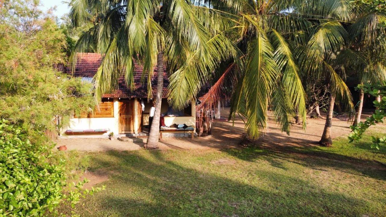 Kite House Cafe Bed and Breakfast Kalpitiya Exterior foto